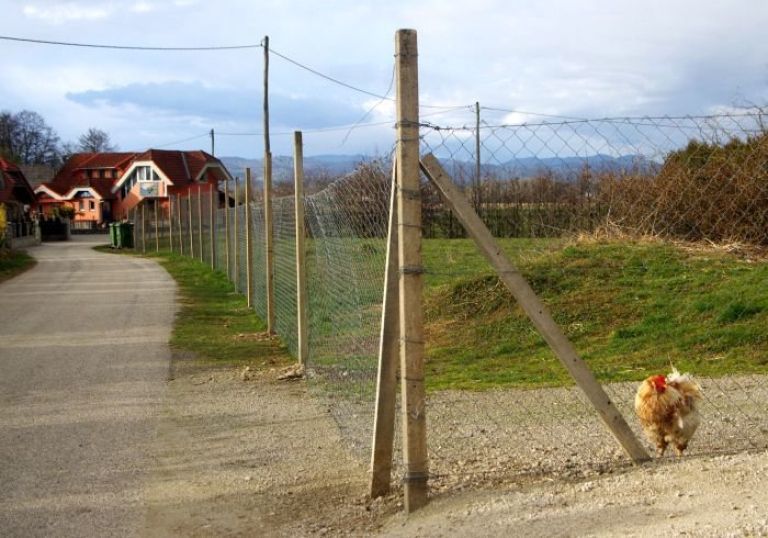 mihovica_010.jpg