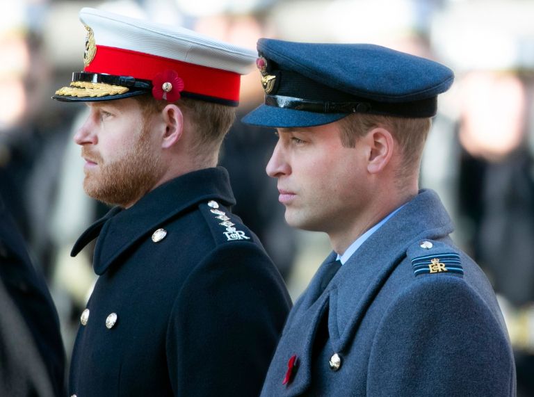 princ harry, princ william (2).jpg