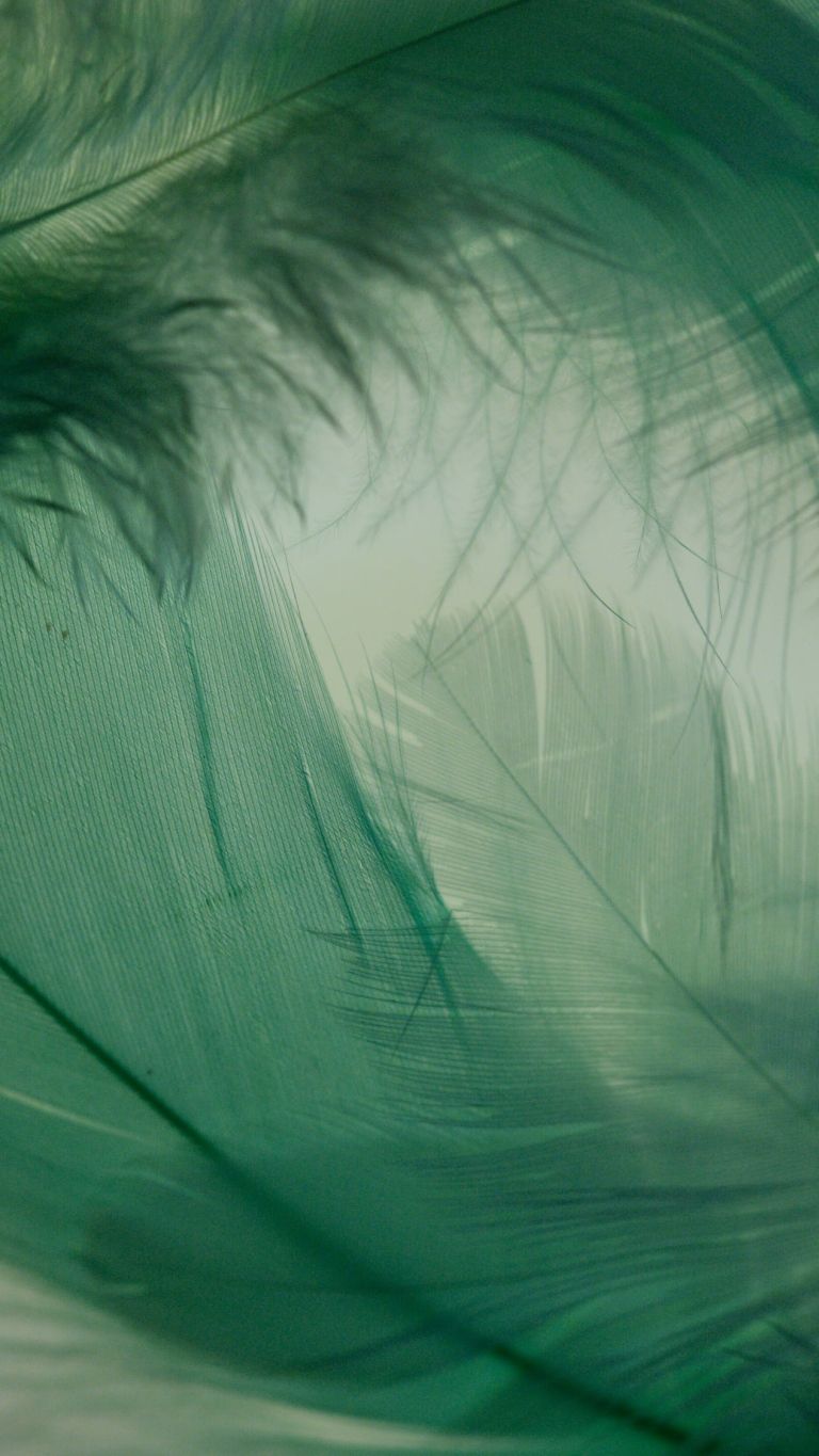 zelena