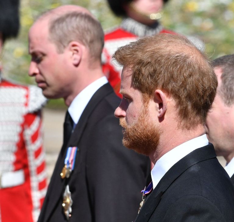 princ william, princ harry