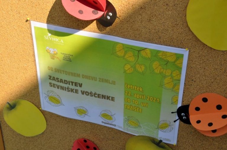 _voscenka__1_.jpg