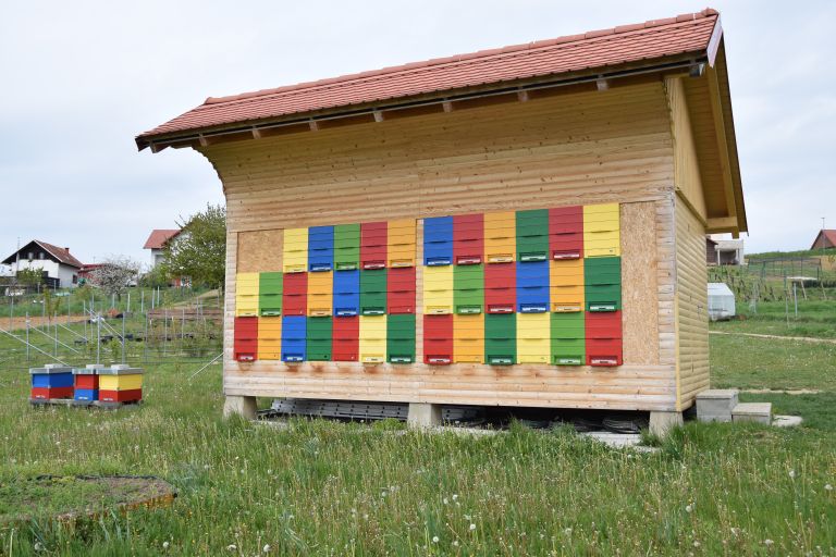 medene zgodbe, suhi vrh, mojca anzeljc