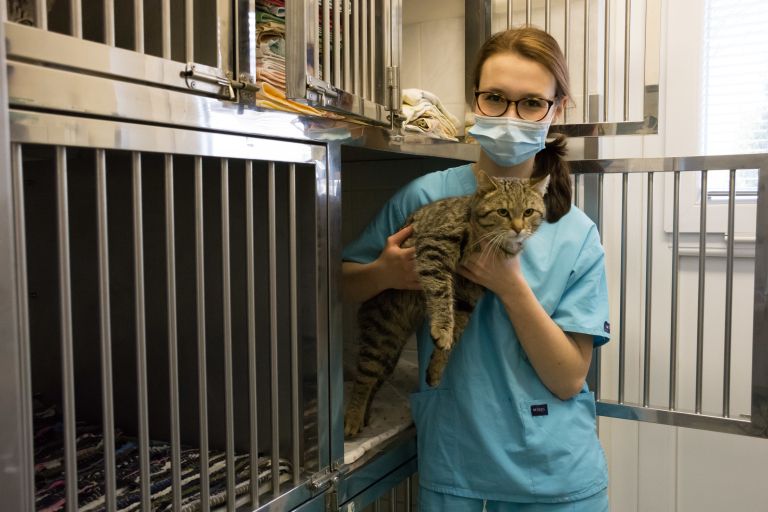 veterinarska-ambulanta-šantl, šantl