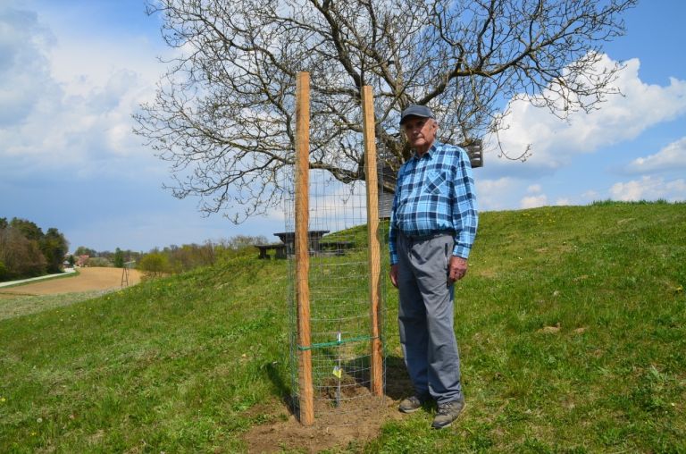 sajenje-sadnih-dreves, krajinski-park-goričko, goričko, drevesa