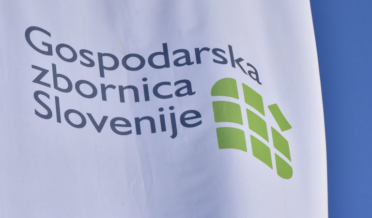 Gospodarska zbornica Slovenije, gzs