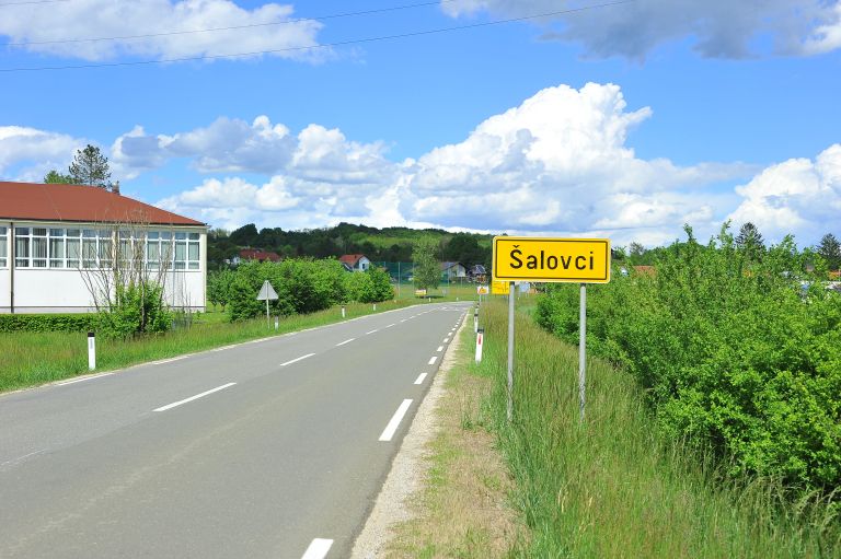 šalovci