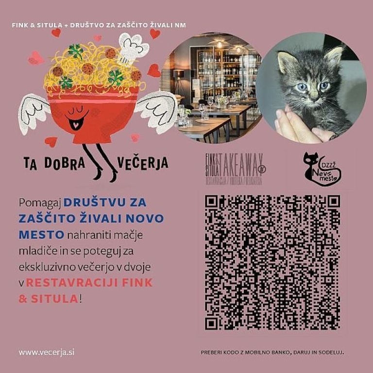 tadobra_vecerja_nevladnik.jpg