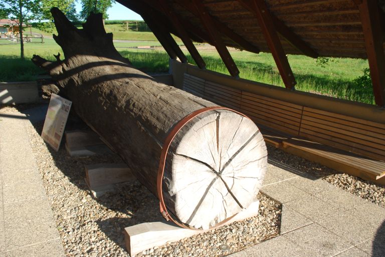 zgornje-konjišče, priloga, ribnik, hrast