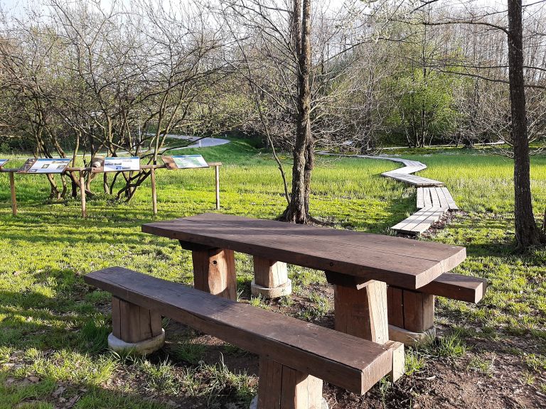pot-po-močvari, lončarovci