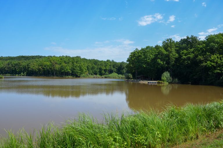 Bukovniško jezero