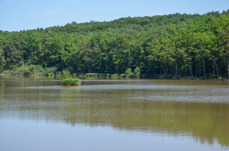 Bukovniško jezero
