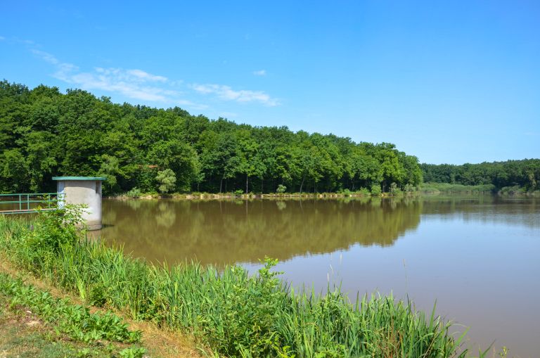 Bukovniško jezero