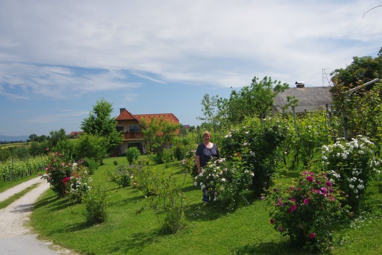 d28_pavlichisavrt.jpg