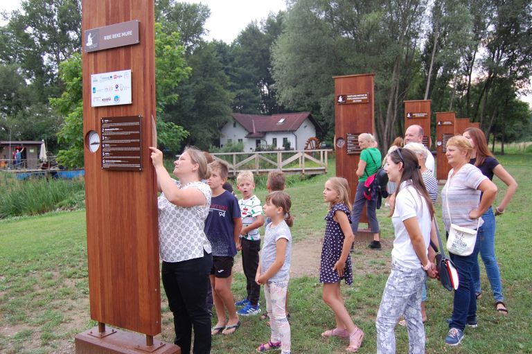 hotiza, ribe