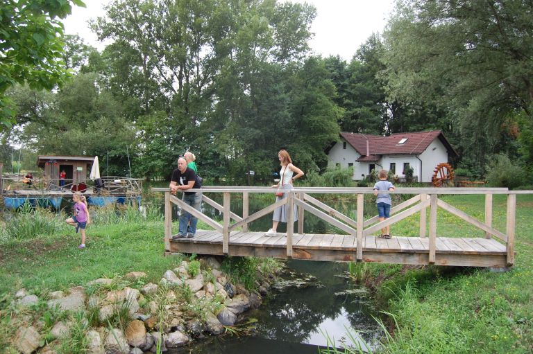 hotiza, hotiški-dnevi, ribe