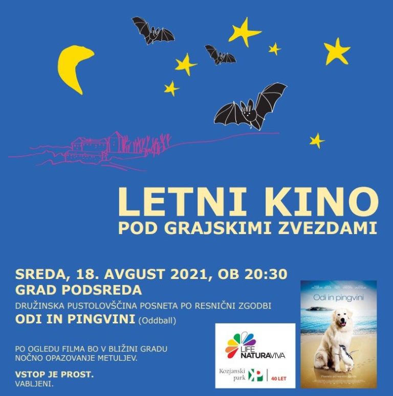_zzzzzpodsreda.jpg
