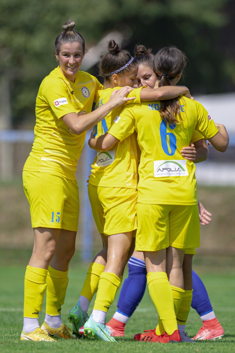 žnk-nona-pomurje-beltinci, žnk-radomlje