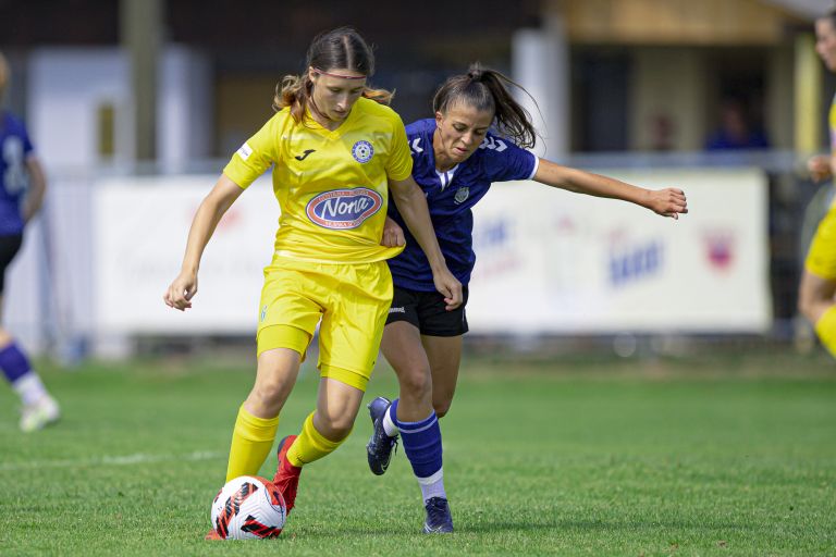 žnk-nona-pomurje-beltinci, žnk-radomlje