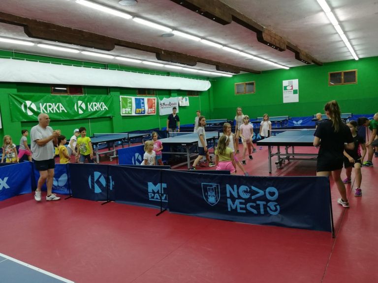 _zzzzzpingpong.jpg