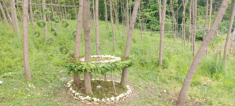 _mandala_na_parceli.jpg