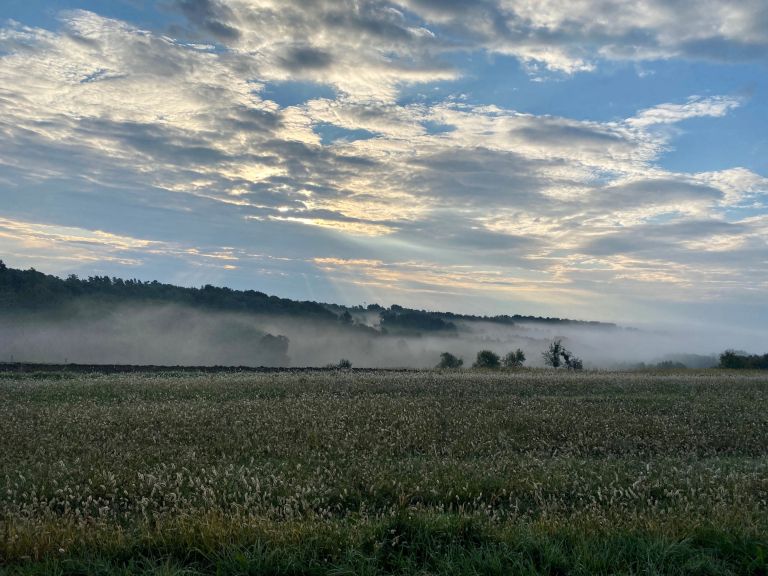 prekmurje, pomurje, goričko, meglice, megla, jesen