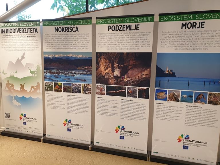 razstava, expano, ekosistemi