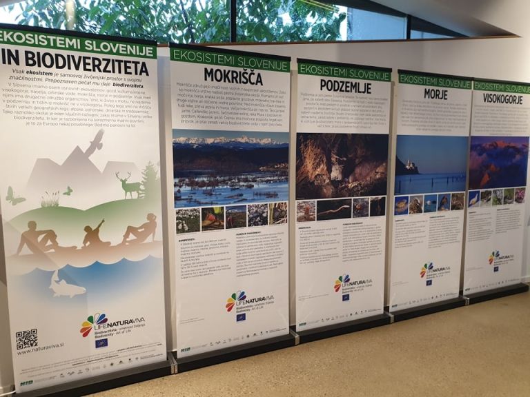 razstava, expano, ekosistemi