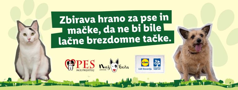 _zzzzzzlidl__2_.jpg