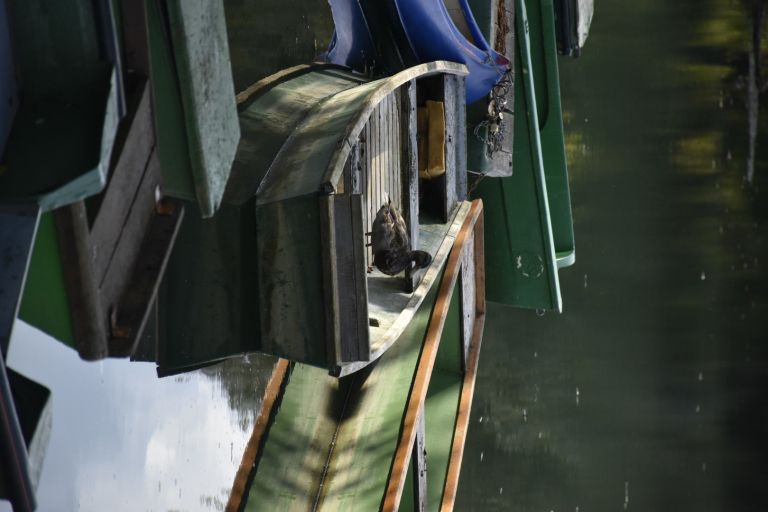 _zzzzpirati__01_.jpg