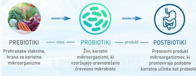infografika, postbiotiki.png