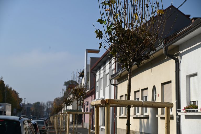 drevored, ulica-štefana-kovača, murska-sobota