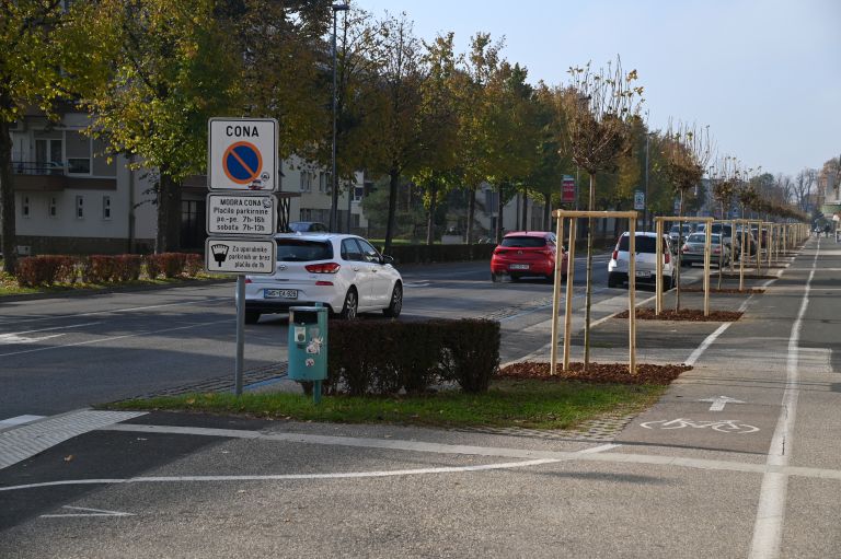 drevored, ulica-štefana-kovača, murska-sobota
