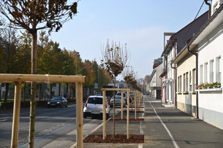 drevored, ulica-štefana-kovača, murska-sobota