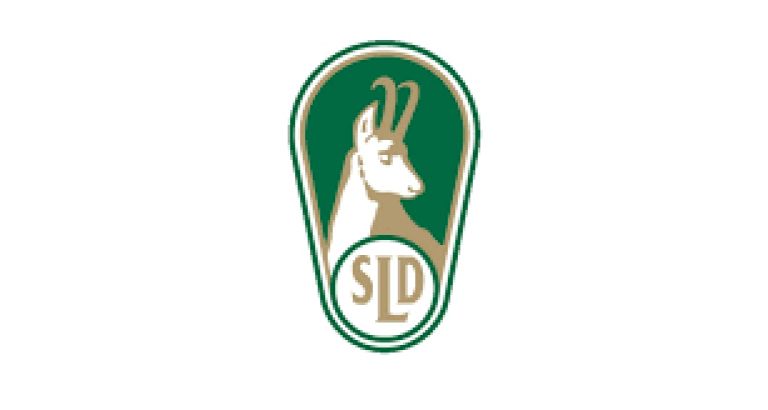 LZS - logo