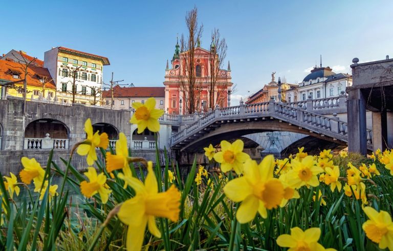pomlad, tromostovje, ljubljana