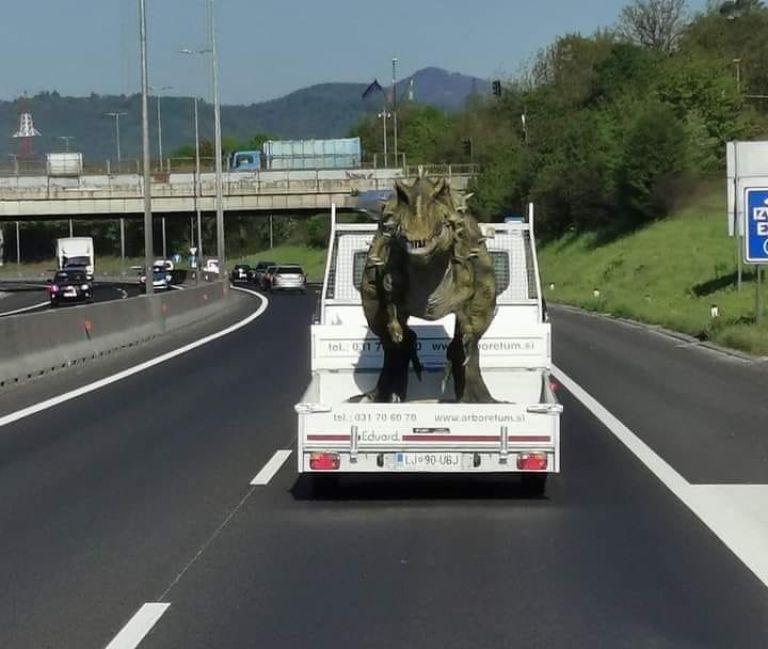 _tasca.jpg