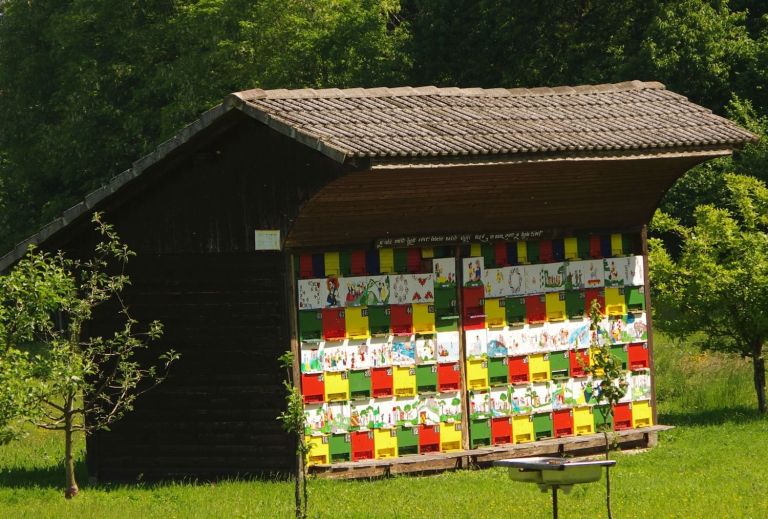 premru_001.jpg