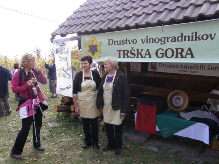 _zapora_ts__0_.jpg
