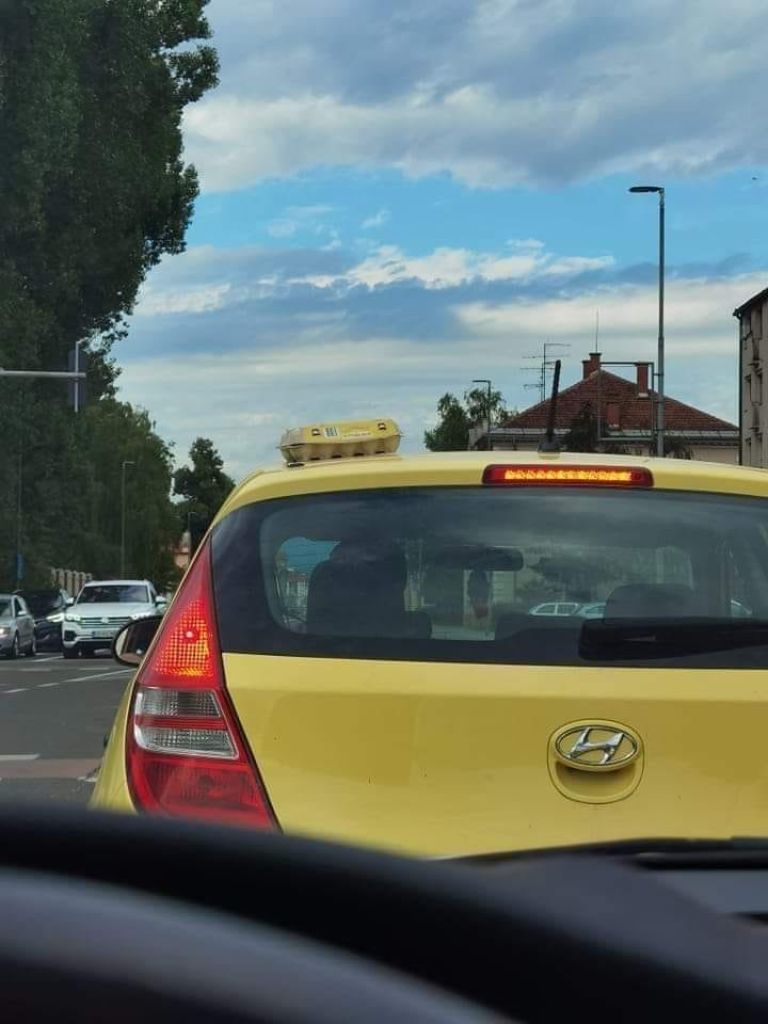 _zjajca.jpg