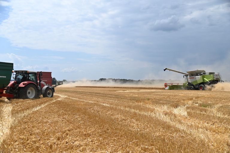 žetev, kombajn, traktor, njive, pšenica, zrna, poljedeljstvo