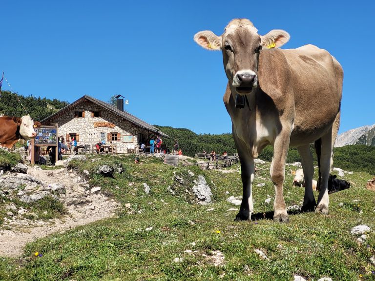 tre-cime, dolomiti, italija
