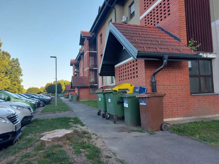 posek, drevesa, gornja radgona