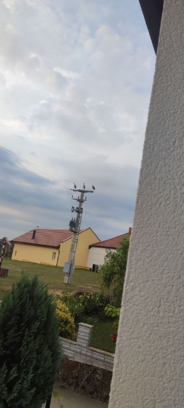 štorklje, štrki