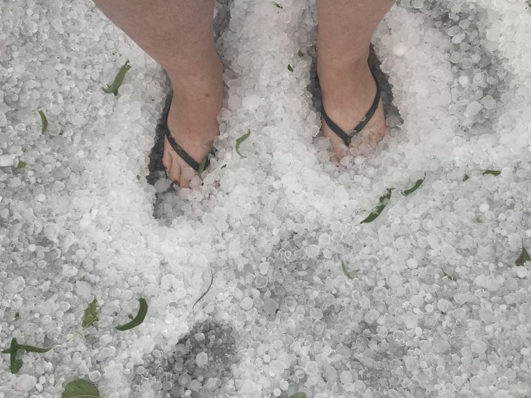 foto_b__k__2_.jpg