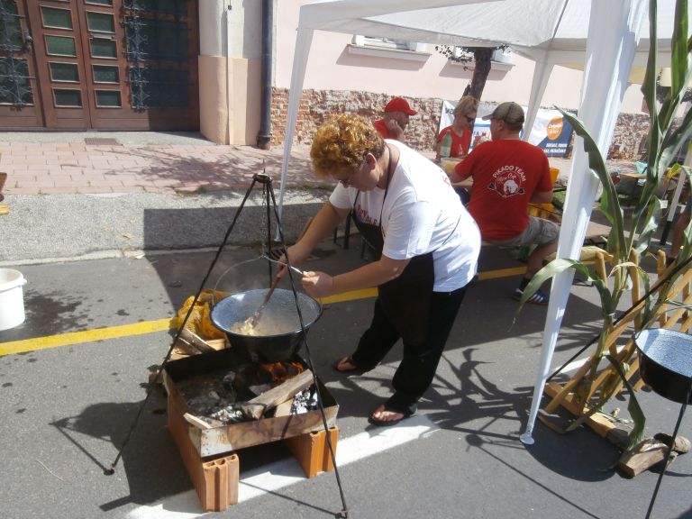 festival-vinarium, bogračfest