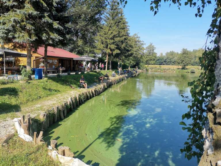 ribiči, lovci, podgrad, srečanje, tekmovanje