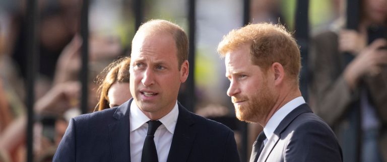 Princ William, princ Harry.jpg
