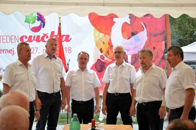 vinograd_006.jpg