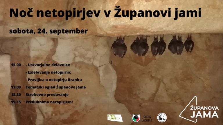 _zjami.jpg