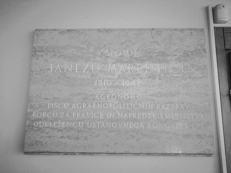 _zbiotehnika_fakulteta.jpg